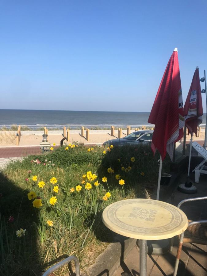 Chalet For 2 At The Beach Zandvoort Exterior foto